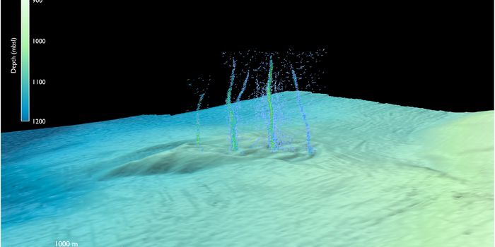 Deep Ocean Spring Could Be Regulating Stress of Offshore Fault