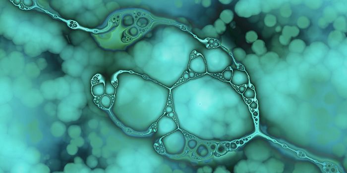 These Immune Cells Can Shield the Brain & Prevent Cognitive Decline