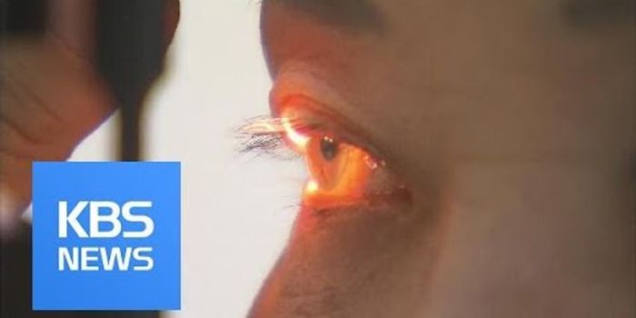 The Eyes Have It in Brain Mapping