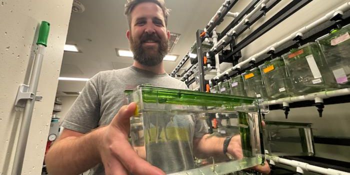 Understanding heart regeneration and the potential for human applications