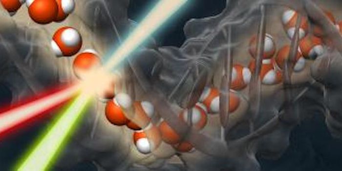 Water Keeps DNA Molecules Hydrated