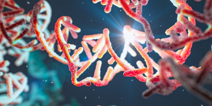 Mechanism Supports Function: The Dharmacon™ siRNA Algorithm 20 Years Strong