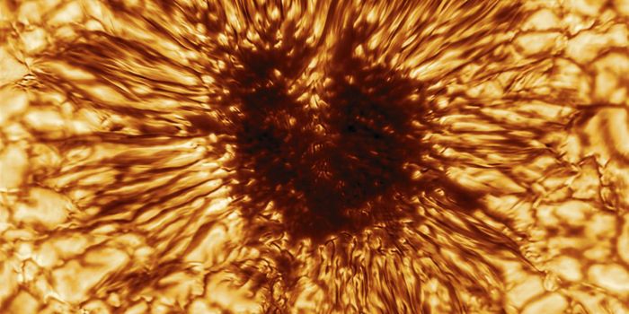 First Sunspot Image From World's Largest Solar Telescope