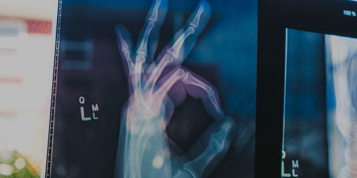 Scientists Engineer Human Cartilage in Space