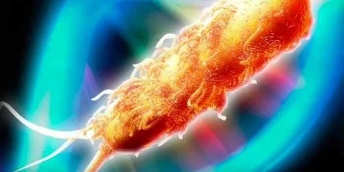 Enzymes in E.coli Will Compensate for Disabled Genes