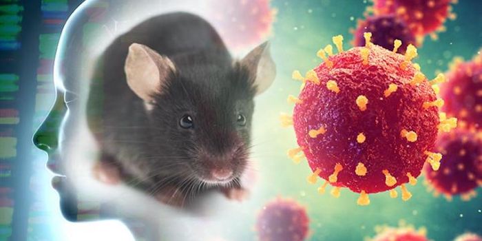 Ranking the Importance of Genes to Find Rare Disease-Causing Mutations