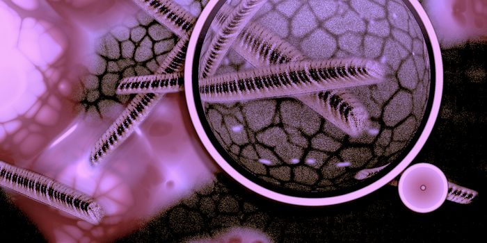 Gut Microbes Affect Gut Physiology & Number of Enteric Neurons