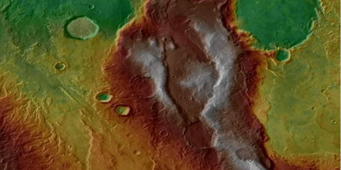 Crustal Recycling on Mars: A Window into Early Planetary Evolution