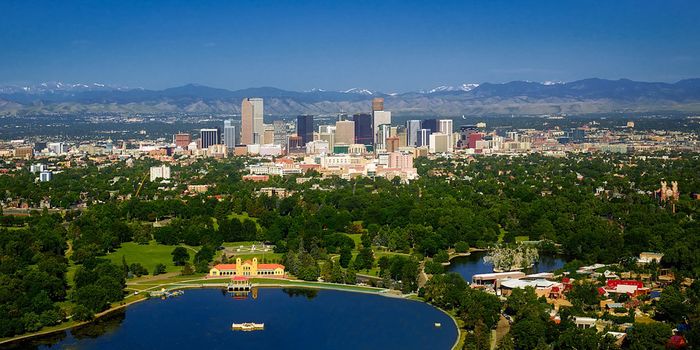 Urban Heat-Islands Mistakenly Signal Spring to Trees