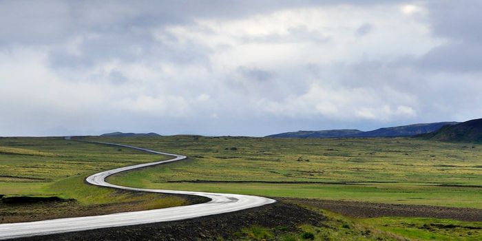 Loneliness in Adolescence Predicts Mental Health Issues in Adulthood