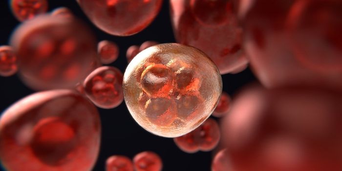 A New Player in the Regulation of Cancer's Microenvironment