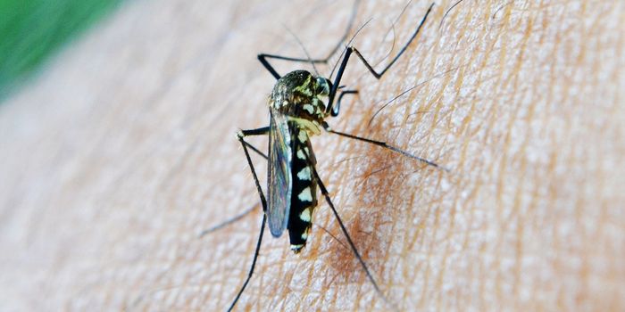 New Vaccine Technology Controls Malaria