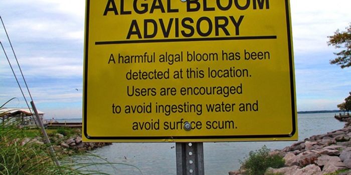 House prices dropping because algal blooms threaten Ohio lakes