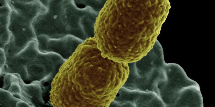 Bacteria Exposed to Antibiotics are 'Primed' to Gain More Resistance