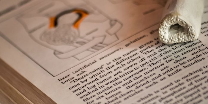 Protein Signal Drives Pro-Tumor Myeloid Genesis