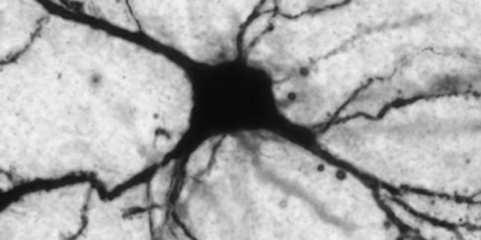 Levels of One Molecule, LAC, can Diagnose Depression