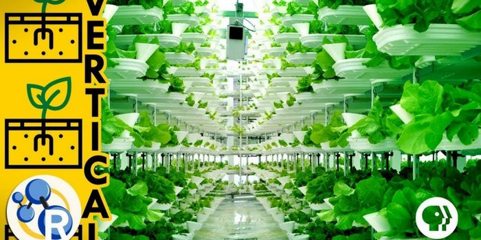 The Science Behind Vertical Farming