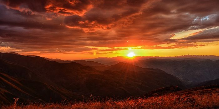 The answers are in the land