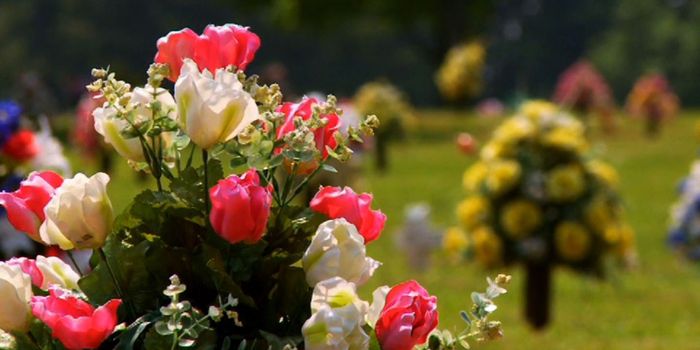 Environmentally Friendly Funerals