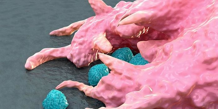 Monocyte-Based Cell Therapy to Treat Macrophage Malfunction