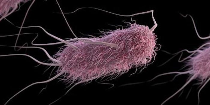 A Fast, Cheap Way to See if Two Antibiotics Work Together