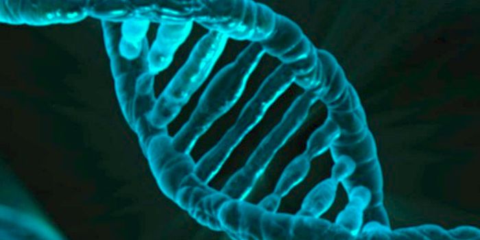 Genomic Imprinting Does not Stay Stable Over Time