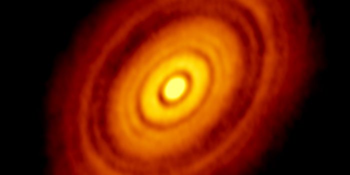 A Reflection on ALMA's Ground-Breaking Images of HL Tau