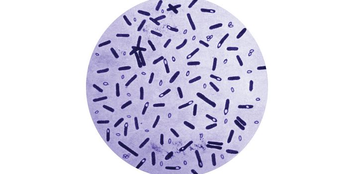 What Are the Top 5 Most Deadly Foodborne Pathogens?