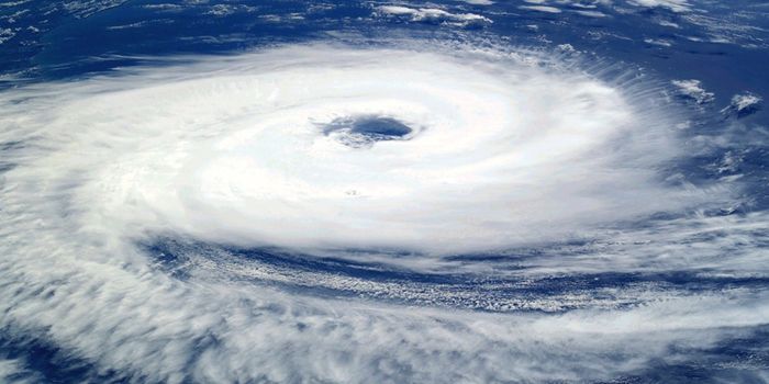 Rare Tropical Storm Hits Southern California Along with an Earthquake