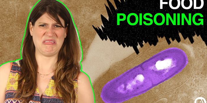 Food Poisoning May Be Waiting in Your Freezer