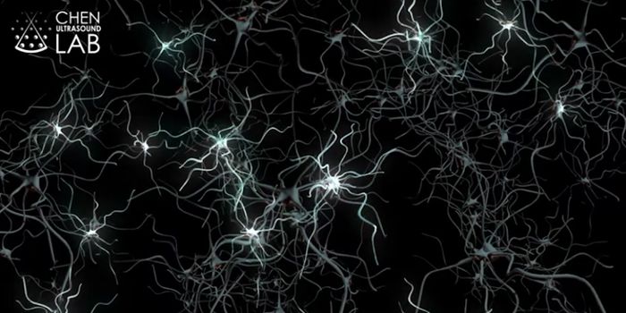 Activating Neurons in the Brain with a Combo of Ultrasound & Genetics