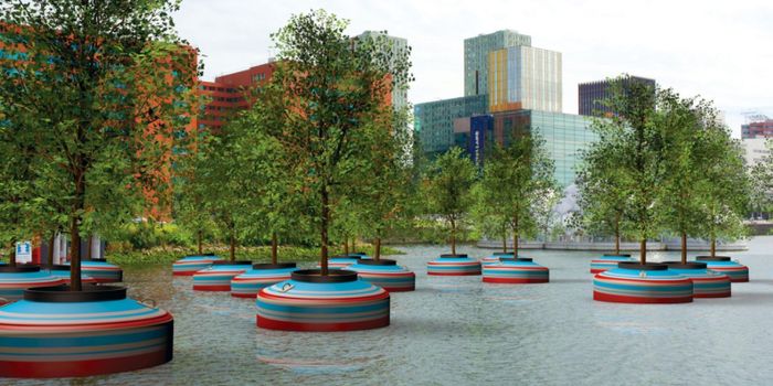 A Floating Forest Will Soon Debut in a Dutch City