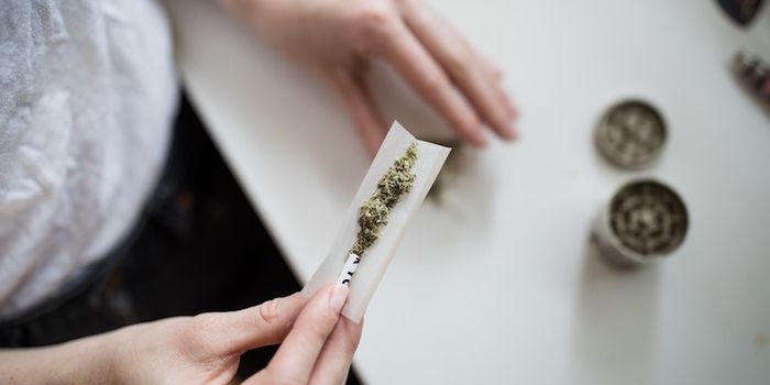 No More Drug Screens for Marijuana?