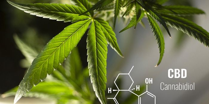 Research on CBD Packaging Claims