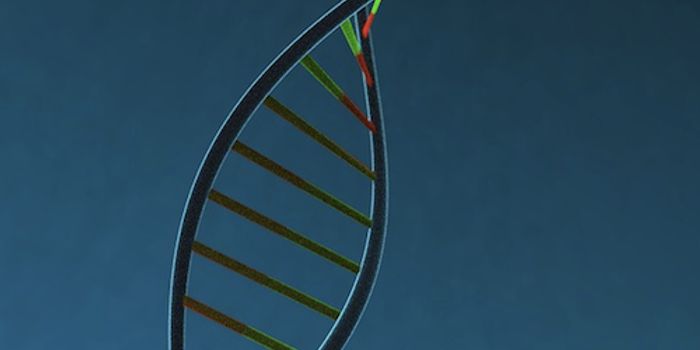 Gene Mutation Associated with Intellectual Dysfunction ID'ed