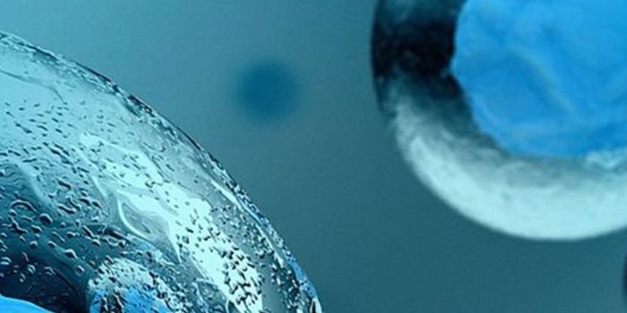 Choosing the Right Bead Mill Homogenization Technology for your Laboratory