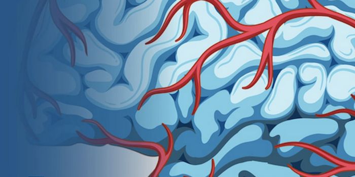 Can Statins be Used to Treat Strokes?