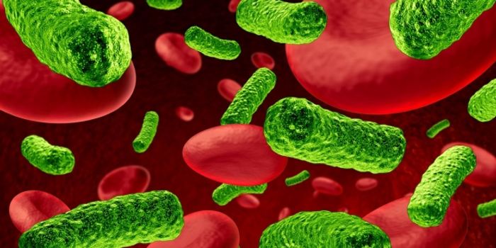 Meta-Virus Signature Tells the Difference Between Viral and Bacterial Infections