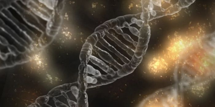 Controlling the Epigenome with CRISPRoff & CRISPRon