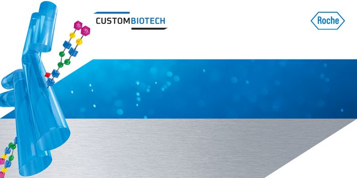 In vitro glycoengineering - Suitability for BioPharma manufacturing