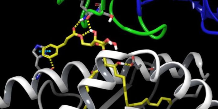 New Compound Stimulates Cancer-Killing Invariant Natural Killer T Cells