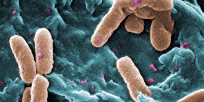 A Novel Therapeutic Target for a Severe Bacterial Infection