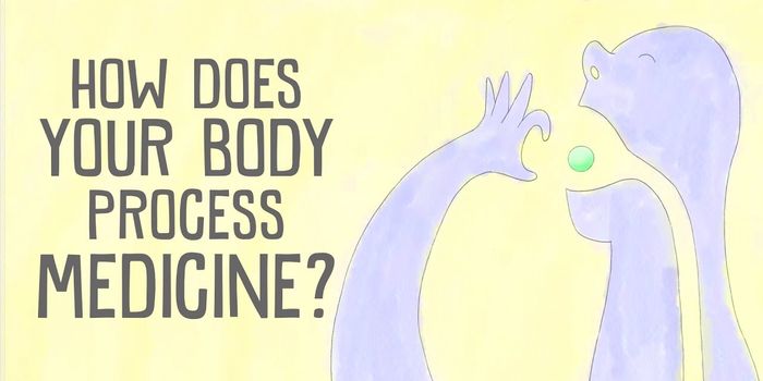 What Happens After You Swallow a Pill?