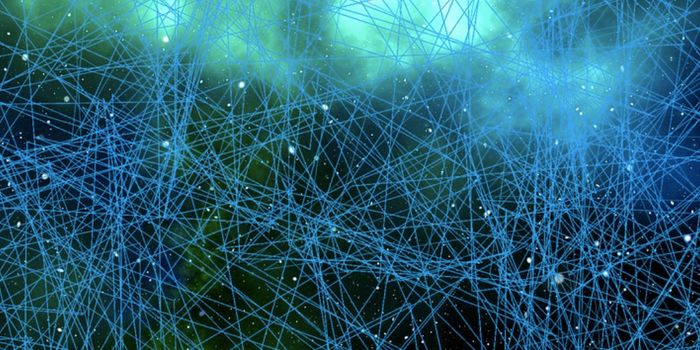 How Neurons Move as the Brain Forms