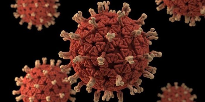 Rotavirus Infection Can be Prevented or Cured by a Gut Microbe