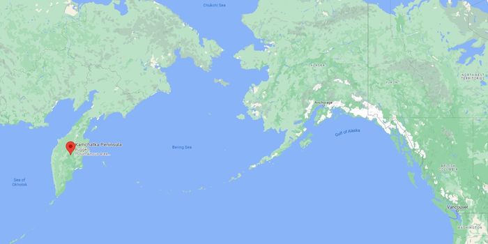 Ancient Siberian genome suggests the Bering Strait journey was not one-way