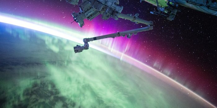 Teenager Points Out Flaw in ISS Radiation Sensor, Alerts NASA