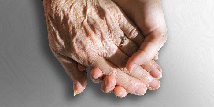 Scientists Reverse Aging in a Mouse Model