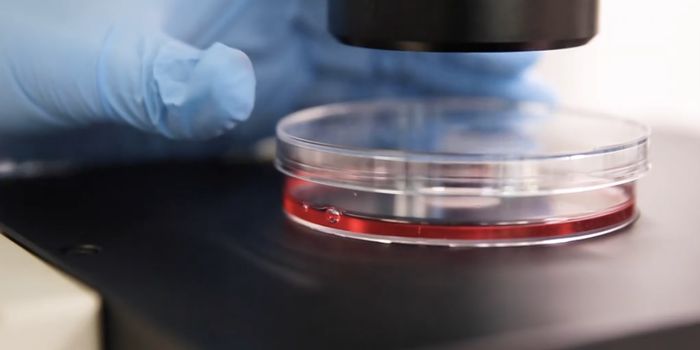 The Different Signals Sent by Brown and White Fat