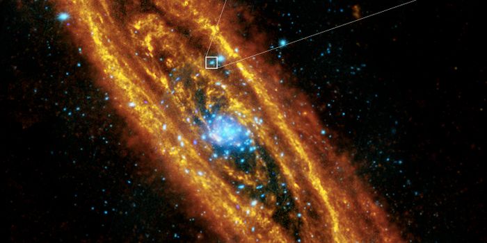Astronomers Detail the First Andromeda Galaxy Pulsar to Date